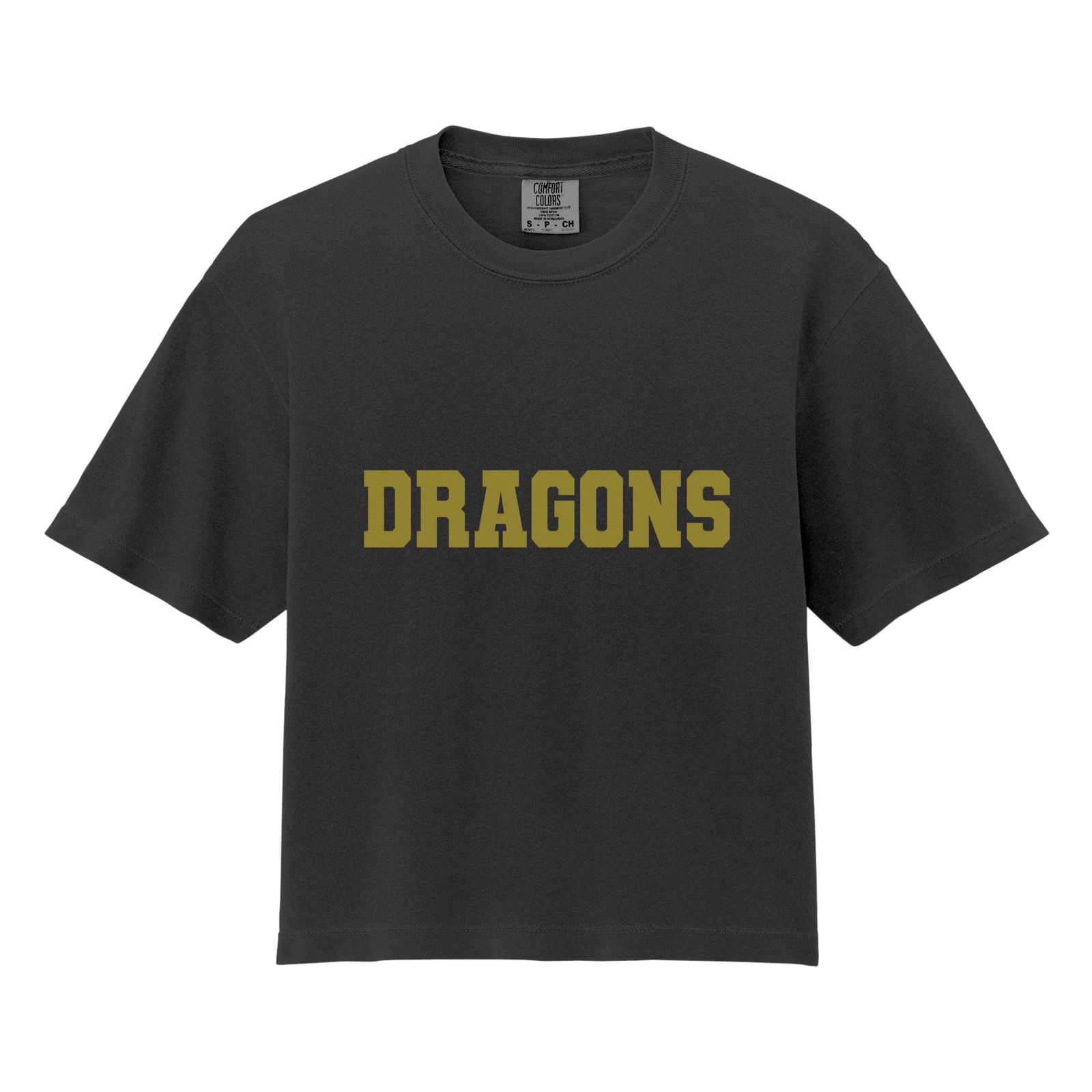 Custom Sweats Dragons Comfort Colors 3023CL Cropped Tee