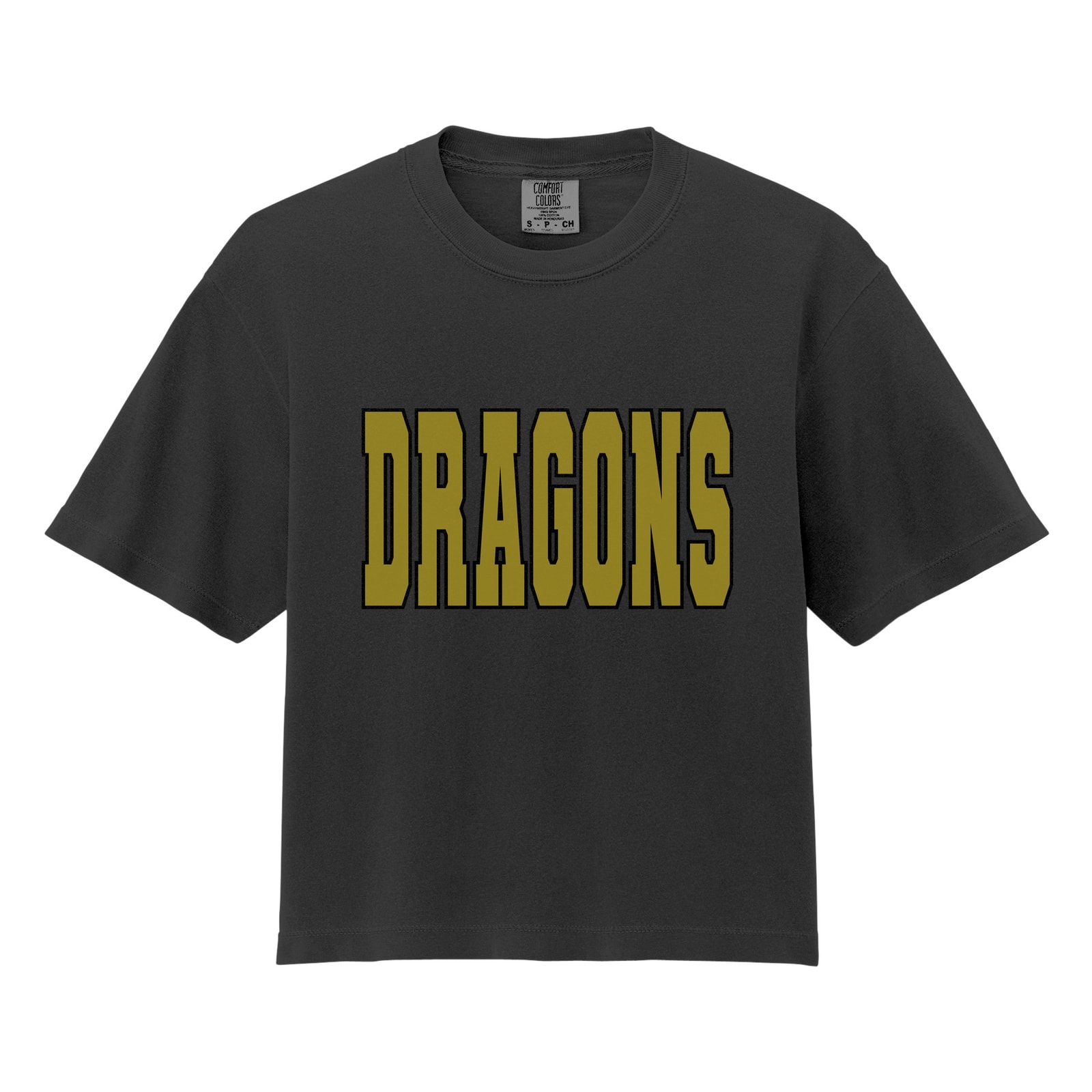 Dragons Wordmark Comfort Colors 3023CL Cropped Tee