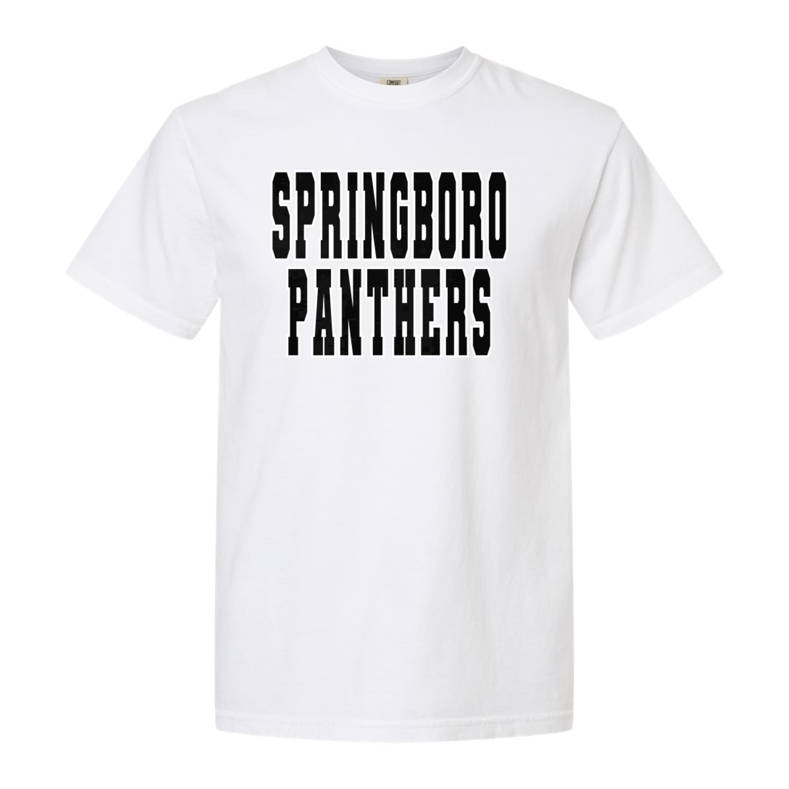 Spring-lake Springboro Panthers